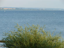 Blick auf den Uckersee in Prenzlau